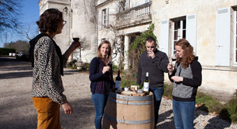 Chateau Bardins