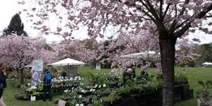 fete des plantes orleans la source parc floral