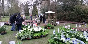 stand boos hortensia parc orleans la source fete des plantes 2016 dimanche