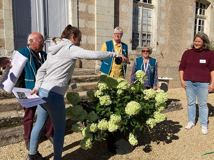 Bapteme variété Hortensia Hydrangea paniculata 'Pépite d'automne' aux pépites botaniques de la Haye Fouassiere -44 en 2022