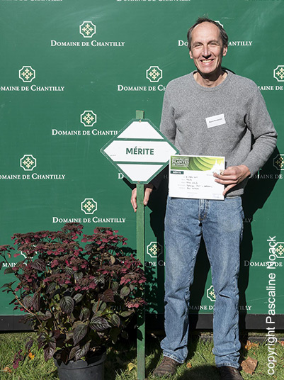 Hortensia Daredevil - Jean Paul Davasse - Boos Hortensia reçoit le mérite à Chantilly