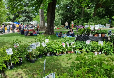 Graines de Jardin, un rendez-vous incontournable pour Boos Hortensia !