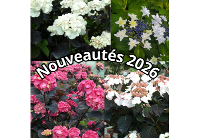 Nouveautés 2026