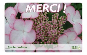 
			                        			Merci, (la vie en rose)