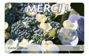 
			                        			Merci, (la vie en bleu)