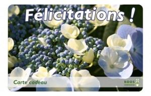 
			                        			Félicitations (bleu)